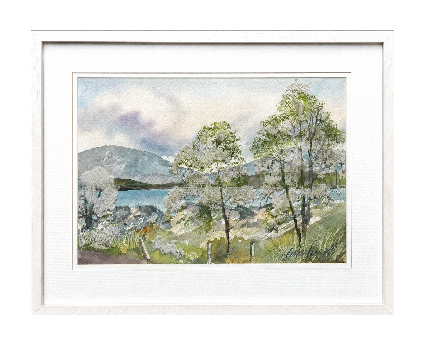 Lakeside Birch Trees